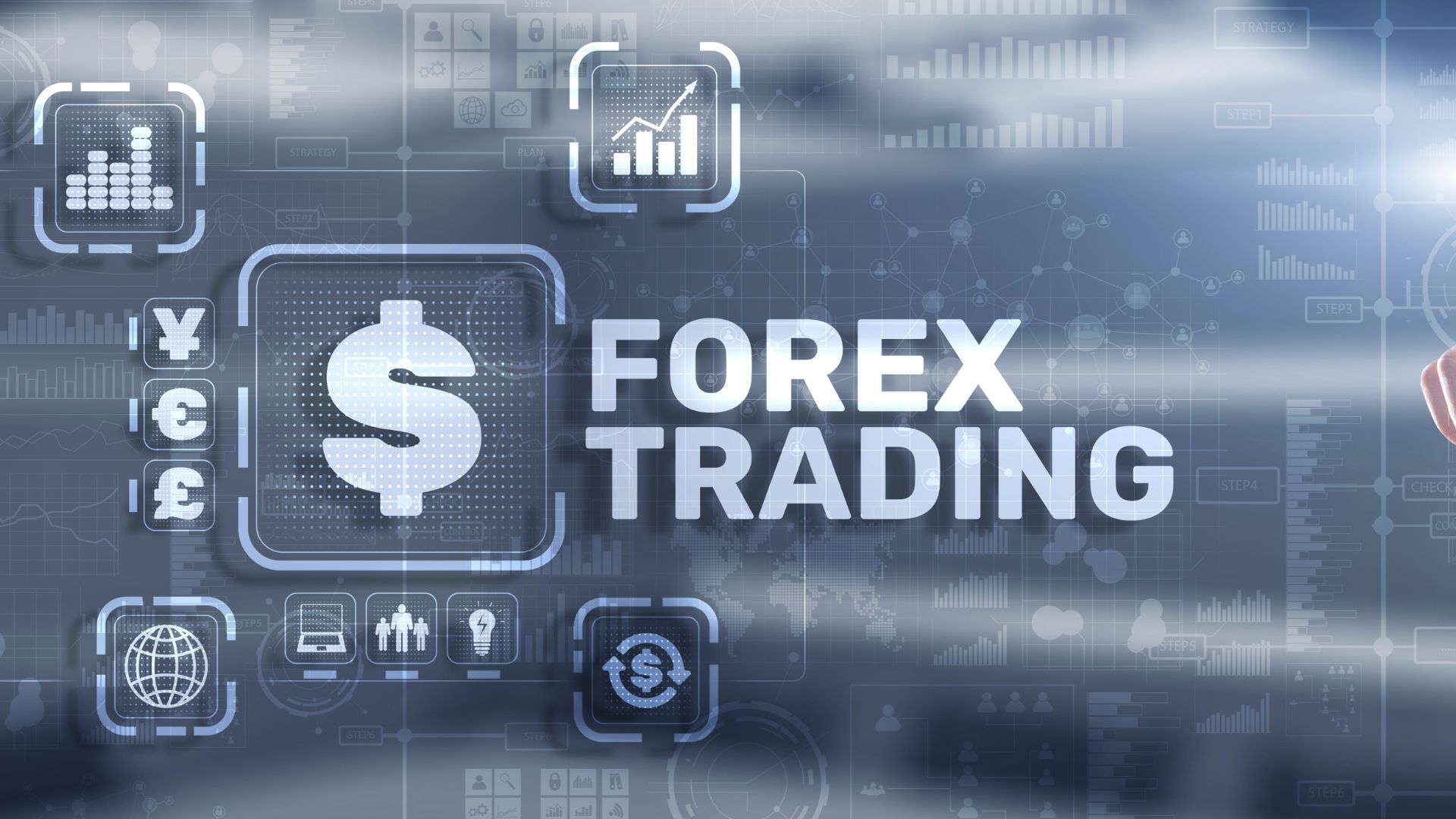 Forex para Principiantes
